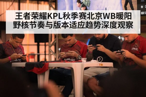 王者荣耀KPL秋季赛北京WB暖阳野核节奏与版本适应趋势深度观察（NG28APP）