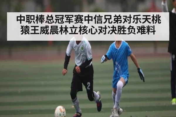 中职棒总冠军赛中信兄弟对乐天桃猿王威晨林立核心对决胜负难料 | NG28